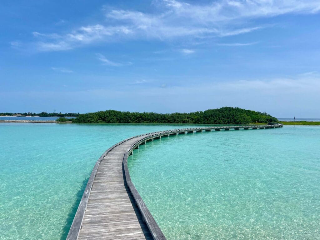 Patina Bird Island