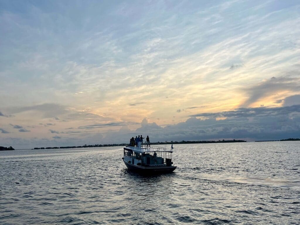 Wildlife cruise