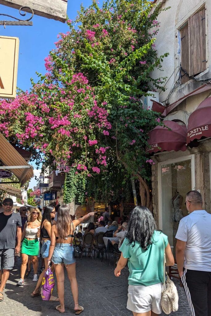 Alacati Street
