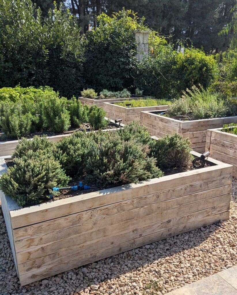 Herbs growing at Teruar