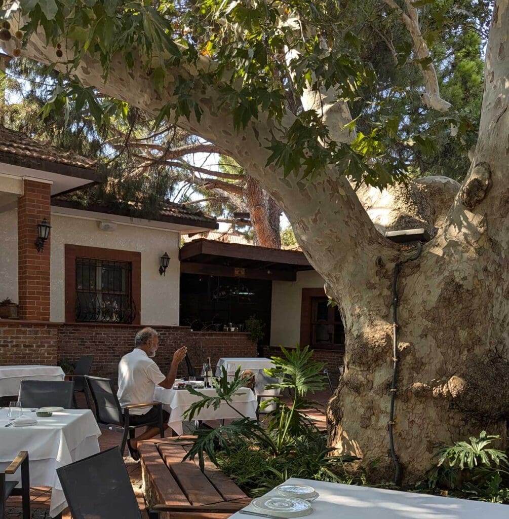 İsabey-Bağları-&-Bağevi - al fresco tables