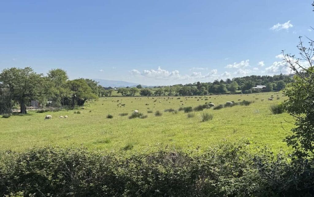View of the countryside from Everything Retreat