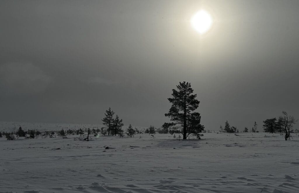 Top of the West Express chair Hundfjället Darlana