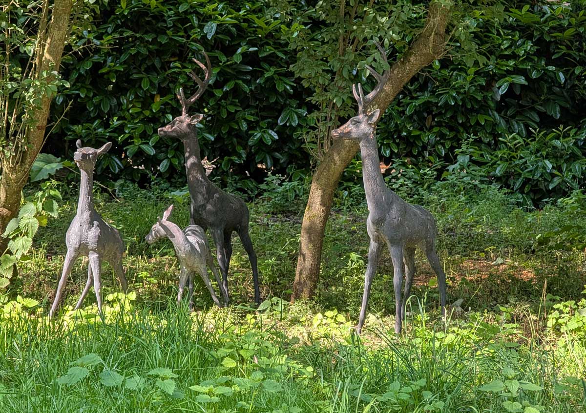 Deer Walk - Hintlesham Hall