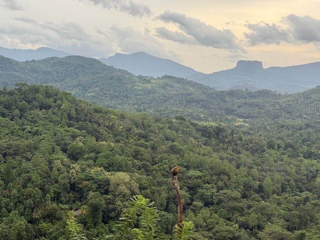 Central Province Sri Lanka