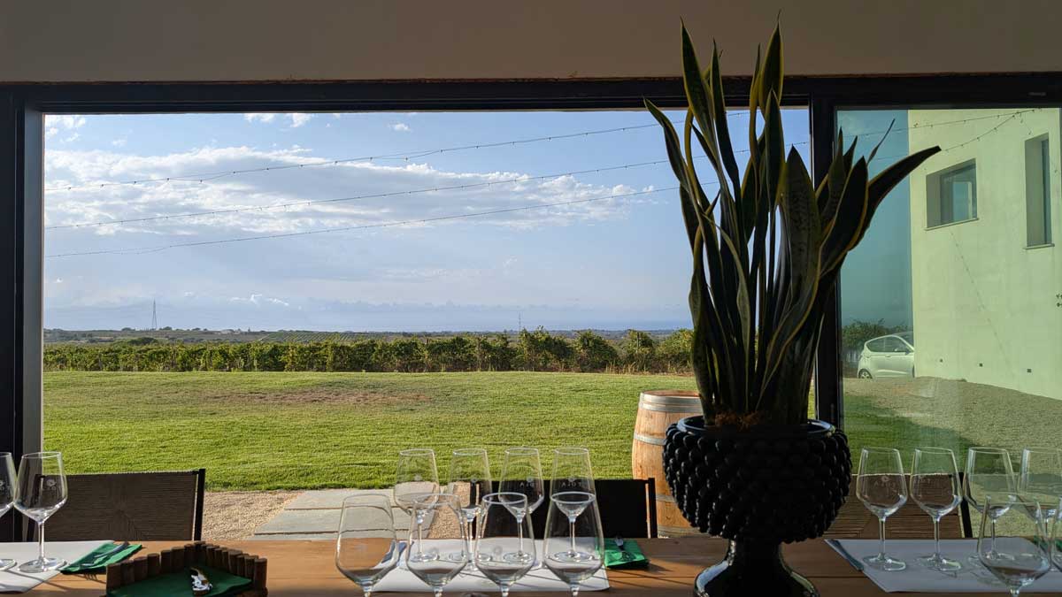 The view from Tolo Winery