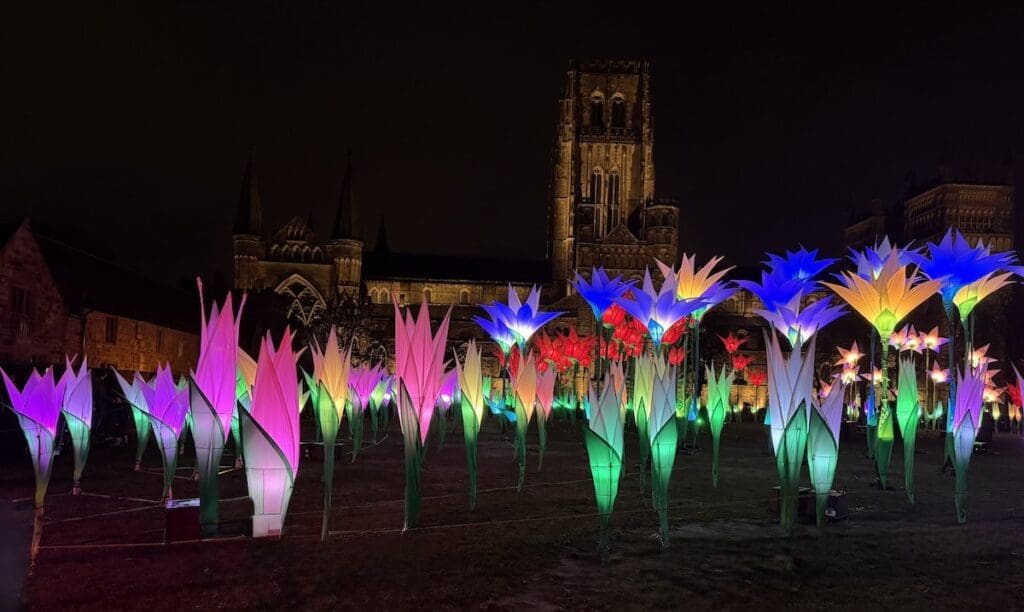 Elysium Garden light installation Lumiere 2025
