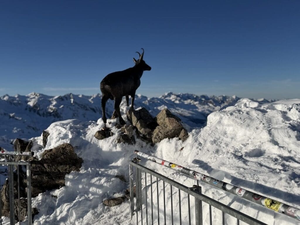 View over mountains from Top Mountain Star
