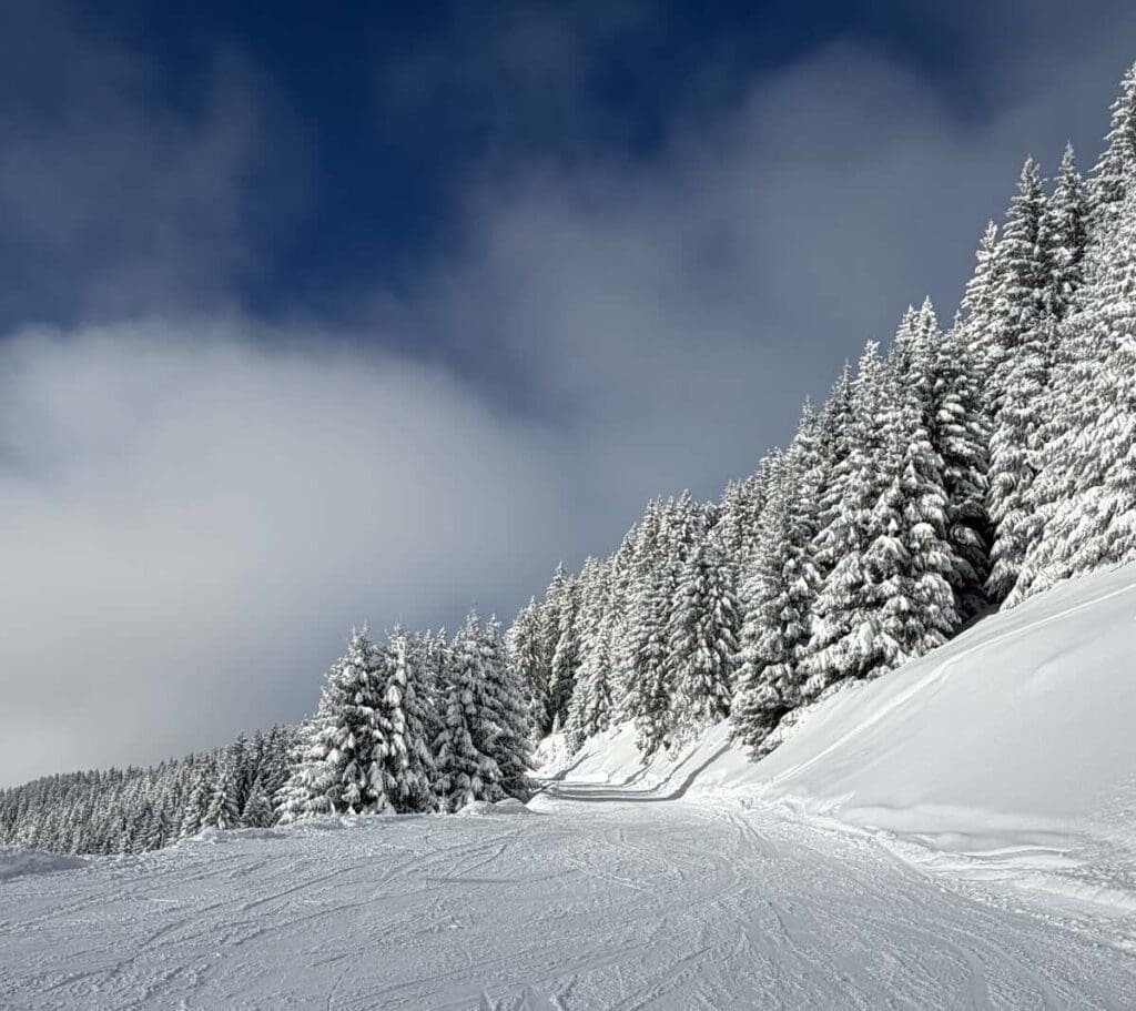 Samoëns piste with snowy trees