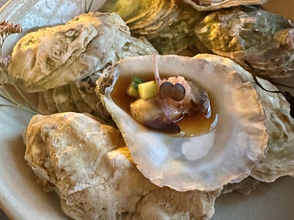 Oyster Course at Vra, Gothenburg