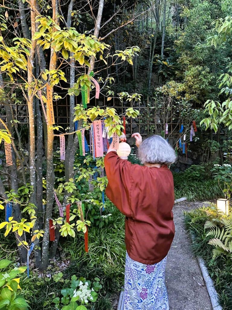 Hanging wishes in the tree in front of the bamboo grove at Banyan Tree Higashiyama