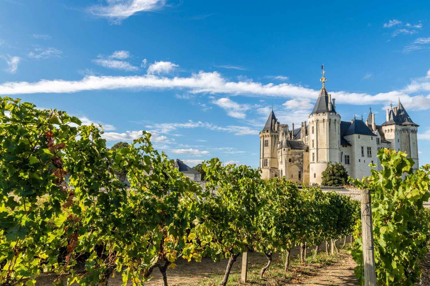 Chateau Saumur 4712 cSebastien GAUDARD Anjou Tourisme