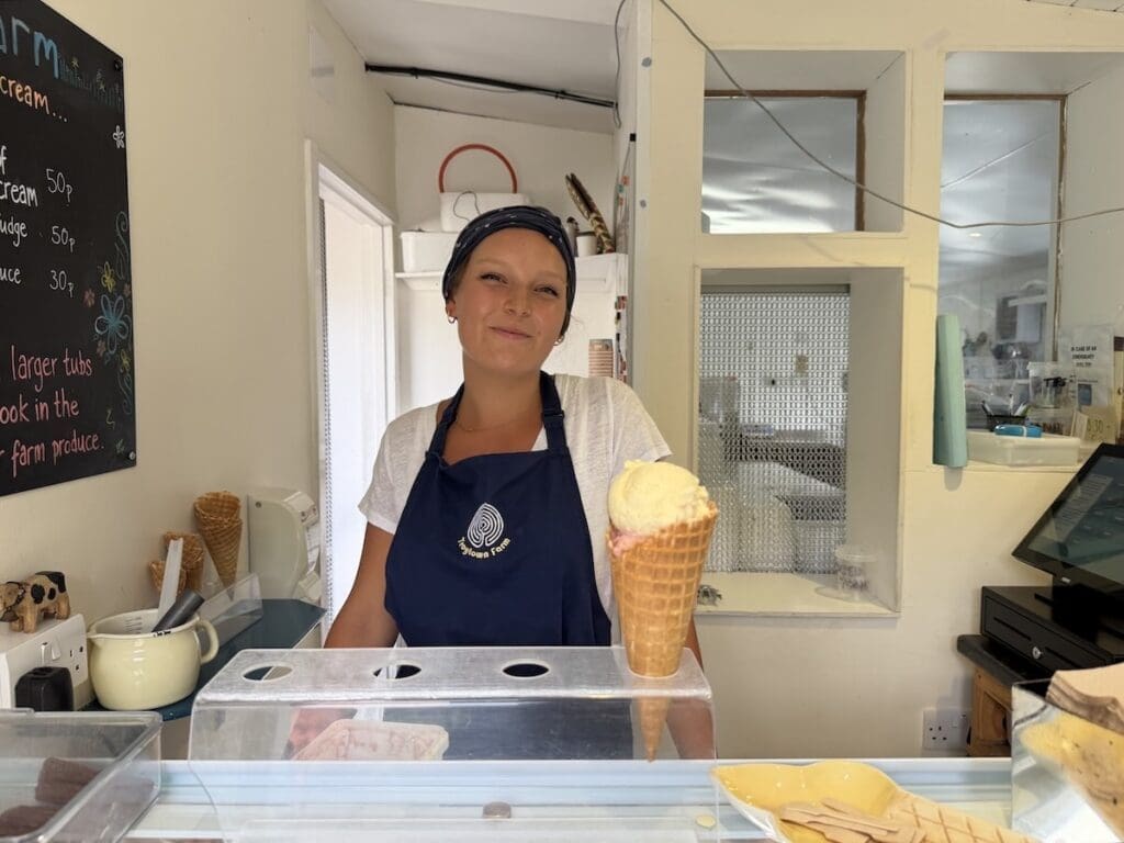 Ice cream Troytown Farm