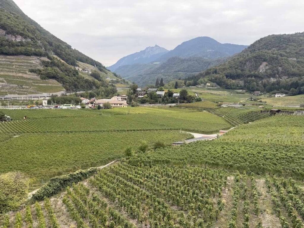 Chablais Vineyards Aigle
